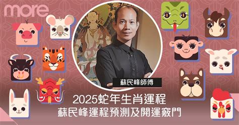 蛇年運程|蘇民峰2025蛇年12生肖運程完整分析：犯太歲4生肖+開運竅門